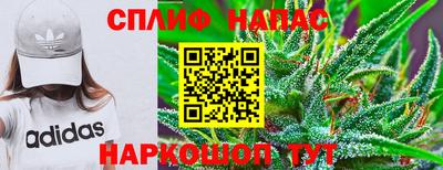 дмт Краснознаменск