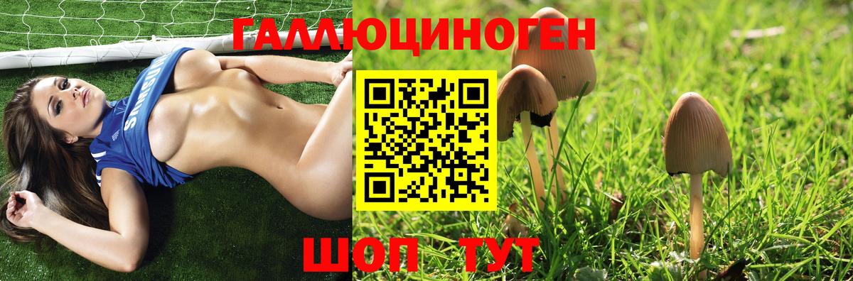 Галлюциногенные грибы GOLDEN TEACHER Заволжье