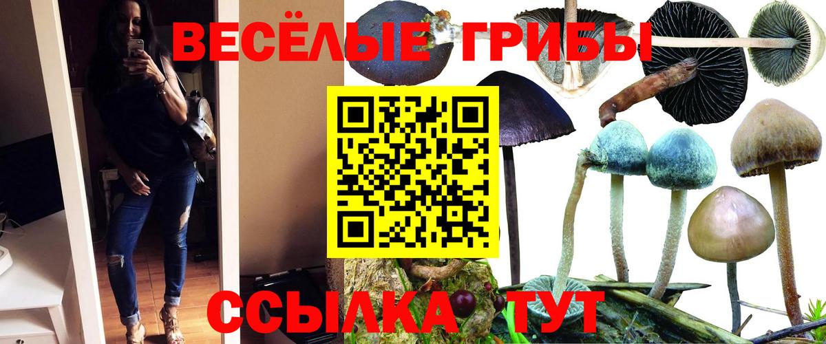 Заволжье  НБОМе  Экстази  ГАШ  ГАШ  Вход с VPN  Бошки Шишки  Меф МЯУ МЯУ кристаллы 