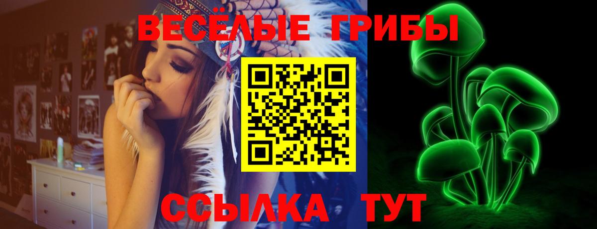 наркотики  Вход с VPN  Заволжье  Галлюциногенные грибы Psilocybe 